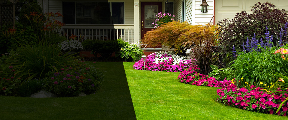 Mountain View Landscapers